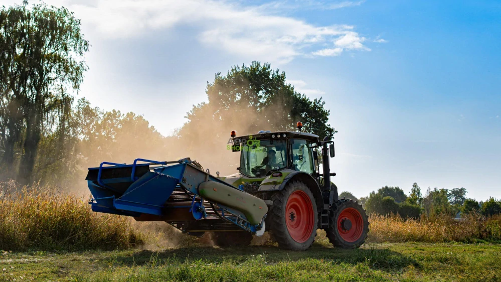 Vyorávač cibule - dvojpásový